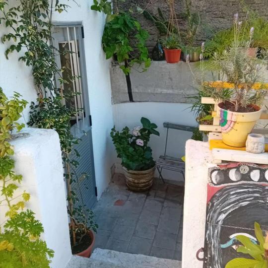 Youki Haus Hostel Montevideo Ngoại thất bức ảnh